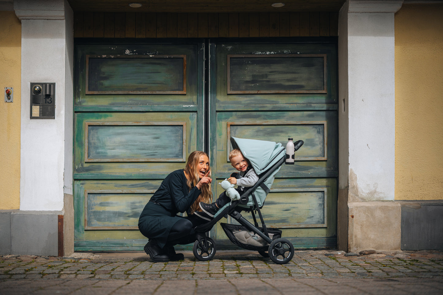 Xe đẩy đô thị Thule Spring